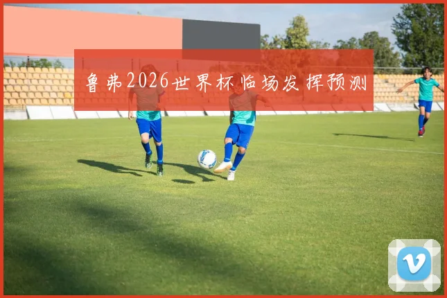 鲁弗2026世界杯临场发挥预测