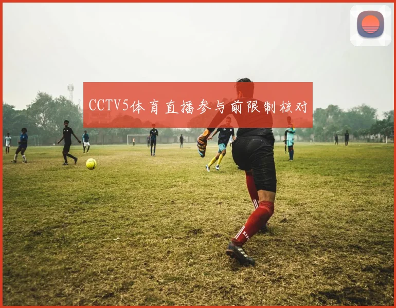 CCTV5体育直播参与前限制核对