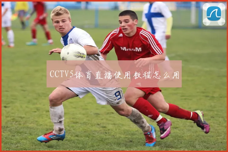 CCTV5体育直播使用教程怎么用