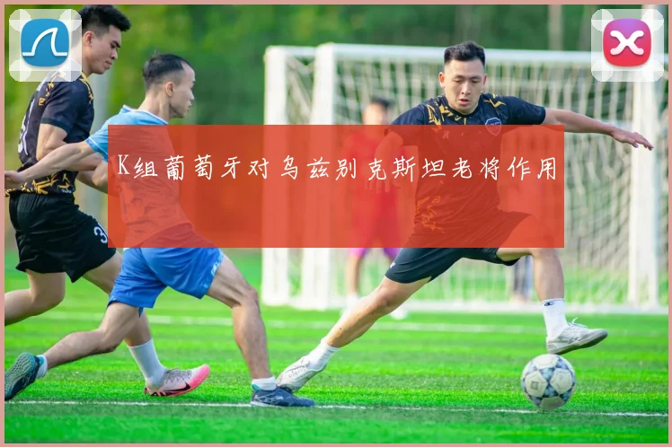 K组葡萄牙对乌兹别克斯坦老将作用